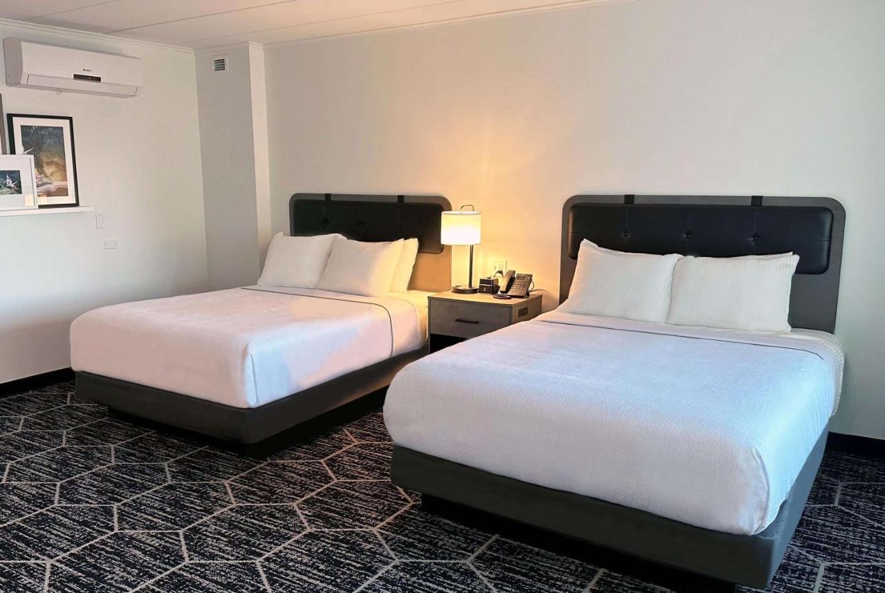 Hotel La Quinta By Wyndham Chicago O'Hare Airport à Rosemont Extérieur photo